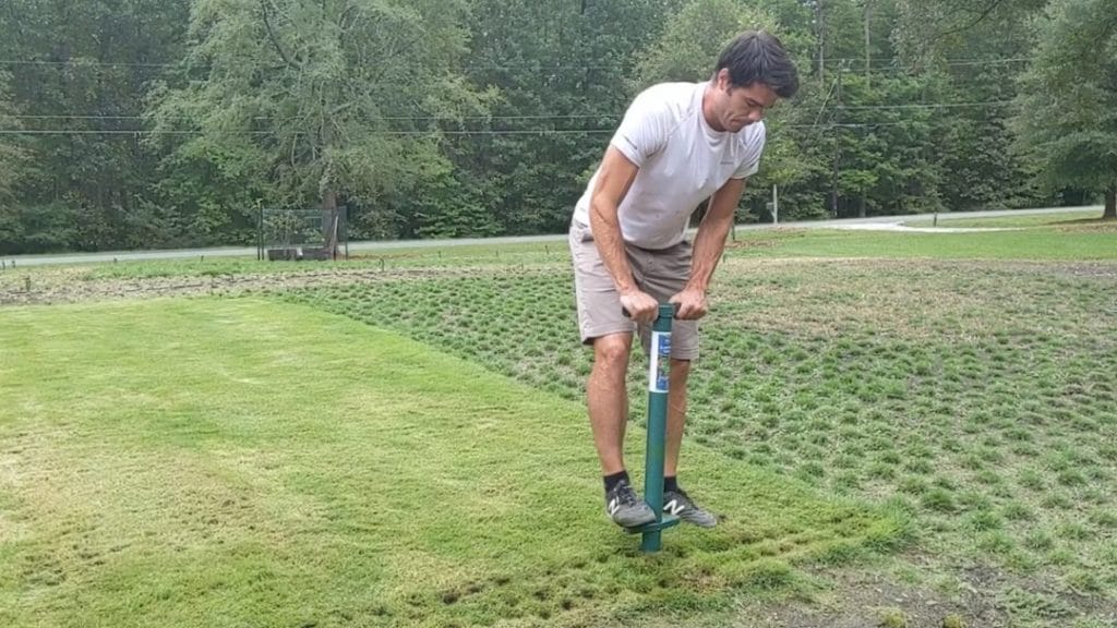 Zoysia grass plugs starting to send short runners across bare soil in a sunny lawn repair area